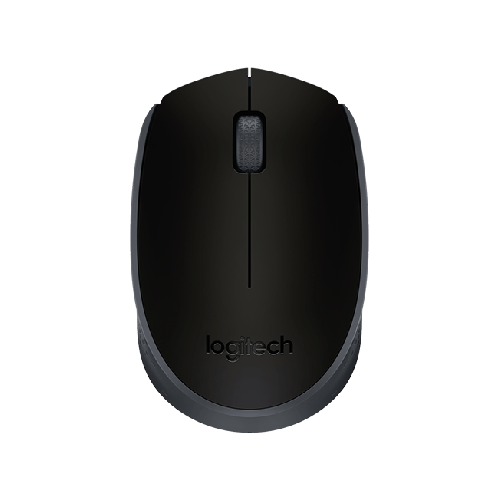 Logitech M171