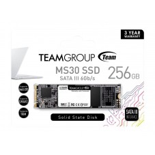 TEAM-SSD-MS30-256GB